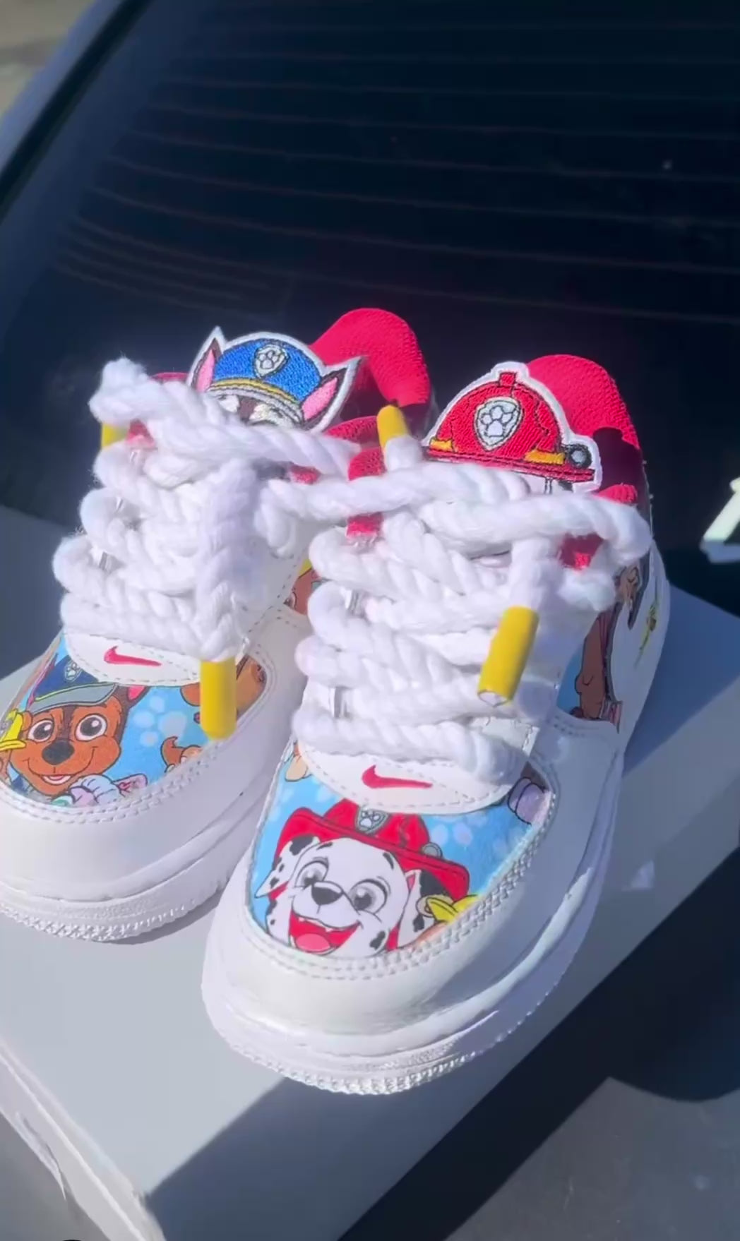 Paw Patrol Customs